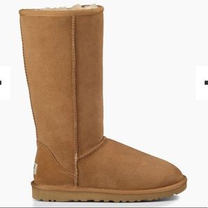 Classic tall UGGs & spray